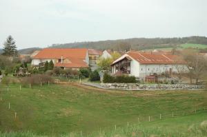 a group of houses in a field with a yard at Čarodějnický Dvůr in Biskoupky