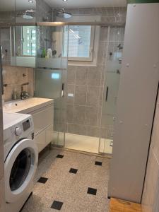 a bathroom with a washing machine and a shower at Appartement Montalieu in Montalieu-Vercieu