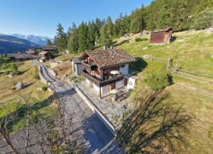 an aerial view of a house on a hill at Waldnest in Grächen