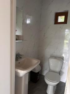 a white bathroom with a toilet and a sink at Kolsay Amanat Resort in Kurmenty +3 photos