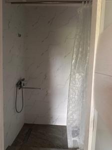 a shower in a bathroom with a stone wall at Kolsay Amanat Resort in Kurmenty