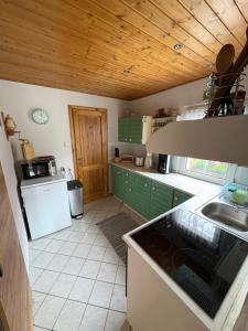 a kitchen with green cabinets and a wooden ceiling at Privat Medo in Děpoltovice