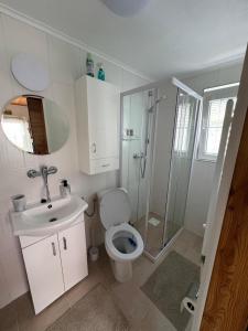 a bathroom with a toilet and a sink and a shower at Privat Medo in Děpoltovice