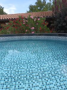a blue tile swimming pool with flowers in the background at Les Murmures de la Forêt Bed and Breakfast in Lanas