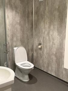 a bathroom with a toilet and a sink at Rosenli Gård in Tønsberg
