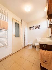 a bathroom with a toilet and a sink at Csiszárhegyi Vadászház in Karád +26 photos