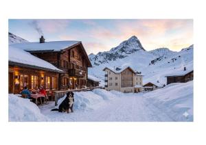 a dog sitting in the snow next to a building at Capetta Appartement in Cresta