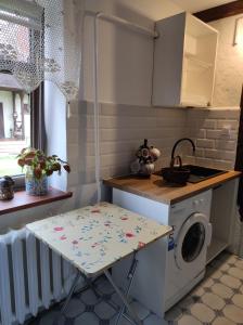 a kitchen with a washing machine and a table at Odpocznij -apartament nad jeziorem in Rydzewo