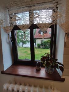 a window with a plant on a wooden window sill at Odpocznij -apartament nad jeziorem in Rydzewo +4 photos