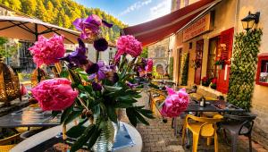 a vase filled with pink flowers sitting on a table at Auberge du fromager in Saint-Didier-sur-Doulon