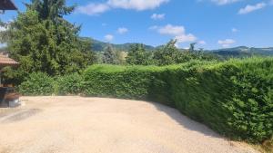 a large green hedge in front of a house at Havre de tranquilité en Chartreuse in Saint-Étienne-de-Crossey
