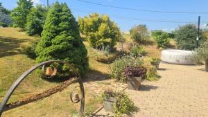 a garden with plants and a large bush at Havre de tranquilité en Chartreuse in Saint-Étienne-de-Crossey +7 photos