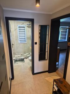 a bathroom with a walk in shower and a toilet at Apartament Stara cegła 1 i 2 in Głuszyca