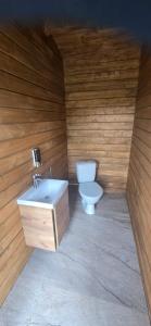 a bathroom with a toilet and a sink in a wooden wall at Mäe Puhkemaja in Rosma