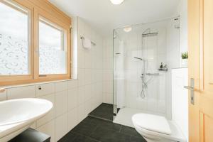 a bathroom with a shower and a toilet and a sink at Bergchalet mit Panoramablick nahe Brienz in Axalp