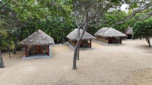 two small huts with straw umbrellas on a beach at Peanut Farm Cabanas -Surf in Panama