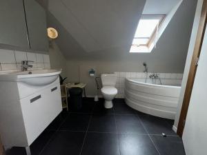 a bathroom with a sink and a tub and a toilet at Hooiland's Hof in Diest +19 photos
