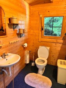 a bathroom with a toilet and a sink in a log cabin at Chata u řeky Svatavy in Josefov +16 photos