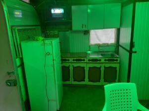 a green kitchen with a stove and a refrigerator at Gradishte beach Ohrid in Ohrid