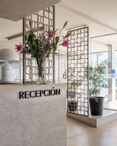 a vase of flowers on a counter in a room at Les Dunes Comodoro in Benidorm +47 photos