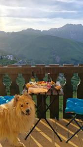 a dog standing on a deck with a table with food at Laura Studio - Pla d'Adet Pied des pistes - balcon Vue vallée - ménage inclus dès 5 nuits in Saint-Lary-Soulan