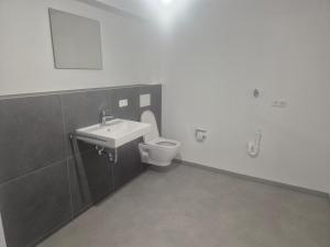 a bathroom with a toilet and a sink at Ferienwohnung KEMS in Gundelsheim +27 photos