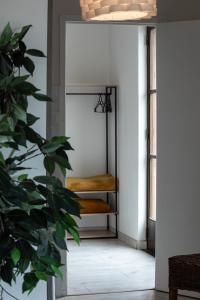a staircase in a room with a plant at Rooftop privé - Clim - Place Carnot - Wifi in Carcassonne