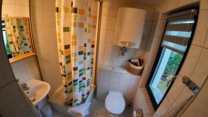 a bathroom with a shower and a toilet and a sink at Häuschen in grüner Idylle in Bad Gottleuba +12 photos