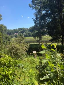 a garden with a lake in the background at Campingurlaub mit Blick auf die Elbe in Pfaffendorf +4 photos