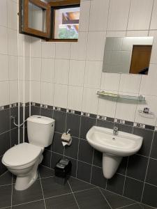 a bathroom with a toilet and a sink at Вила Шишарка in Govedartsi +5 photos
