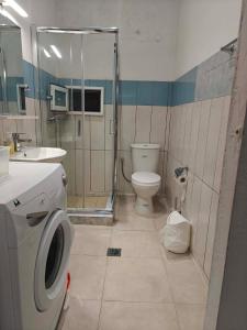 a bathroom with a shower and a toilet and a sink at Irene's home in Igoumenitsa +21 photos