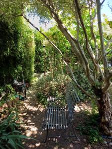 a bench sitting under a tree in a garden at Le Logis d'Elisa in Cosne-Cours-sur-Loire