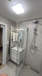 a bathroom with a shower and a sink and a mirror at Sweet Dream in Dolný Kubín +17 photos