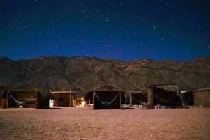 a group of huts in the desert at night at La Basha Camp in Dahab +19 photos