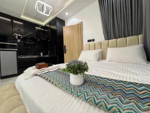 Gallery image of A Luxurious and Comfortable Studio Apartment in Ikeja +2 photos