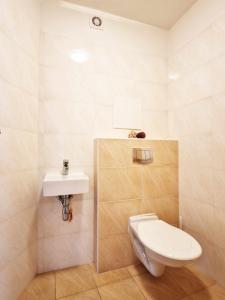 a bathroom with a toilet and a sink at Apartmán Všemina 346 in Všemina