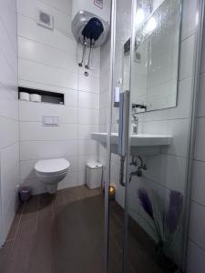 a bathroom with a toilet and a sink and a shower at Studio apartment with pool in Pula