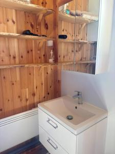 a bathroom with a sink and wooden walls at Sodra Fullsjön in Stugun +51 photos