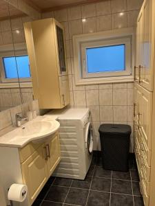 a bathroom with a sink and a washing machine at Basement apartment in Tokheim