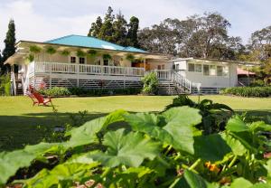 a large white house with a large yard at Aloha Junction Bed and Breakfast -Minutes away from Hawaii Volcanoes National Park in Volcano