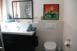 a bathroom with a sink and a toilet and a mirror at Ferienwohnung Moin Eifel in Schleiden +14 photos