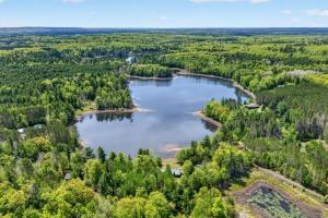 an aerial view of a lake in the woods at Lang Lodge cabin in Drummond
