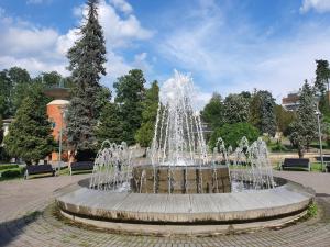 a fountain in the middle of a park at Omega Dom in Vrnjačka Banja