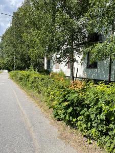 a house on the side of a road at 5ans rum Gunghästen in Skellefteå