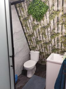 a bathroom with a toilet and a sink at Domek letniskowy in Antonowo