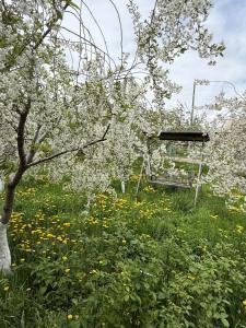 a bench in a field with flowers and trees at Nikolyans' Guesthouse in Tsʼoghamarg