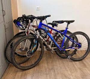two bikes parked next to each other in a room at La maison Champollion in Albi