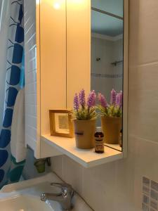 a bathroom sink with two potted plants on a shelf at Emis house krioneri in Lapanayoí +31 photos