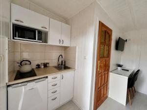 a small kitchen with a sink and a microwave at Perełka Bałtyku in Władysławowo