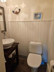 a bathroom with a white toilet and a sink at Mänttä Tammirannantie in Mustalahti
